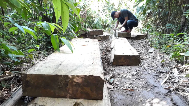 Vụ đột nhập bãi tập kết gỗ lậu ở xã biên giới: Gỗ tập kết vốn là gỗ vi phạm đã lập biên bản