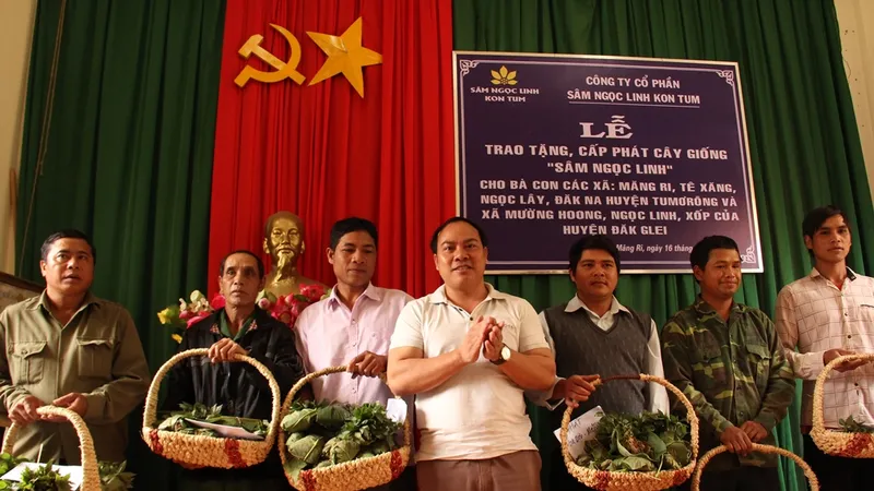 Tặng sâm giống Ngọc Linh cho xã nghèo 