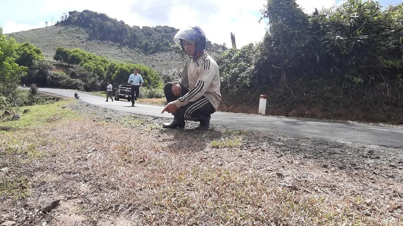 Phát quang cây cỏ 2 bên quốc lộ bằng… thuốc diệt cỏ
