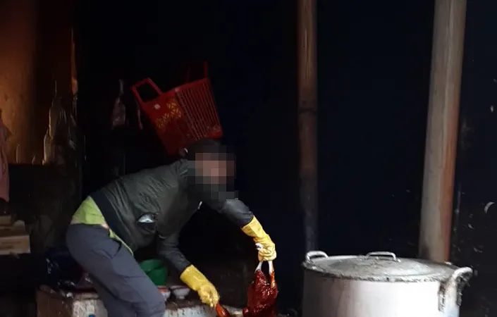 Cơ sở dùng nhựa thông để nhổ lông vịt tại chợ Yên Thế