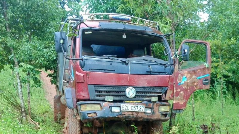 Kon Tum: Khởi tố vụ cưa hạ gỗ dổi cổ thụ 