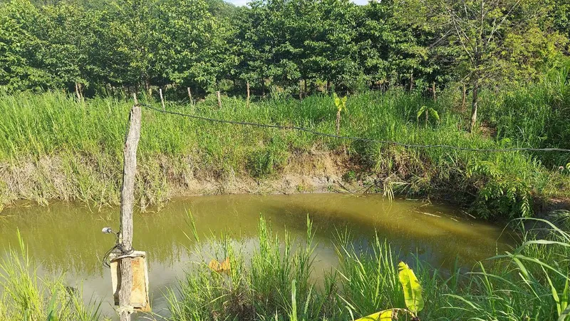 Gia Lai: 2 mẹ con đuối nước tử vong