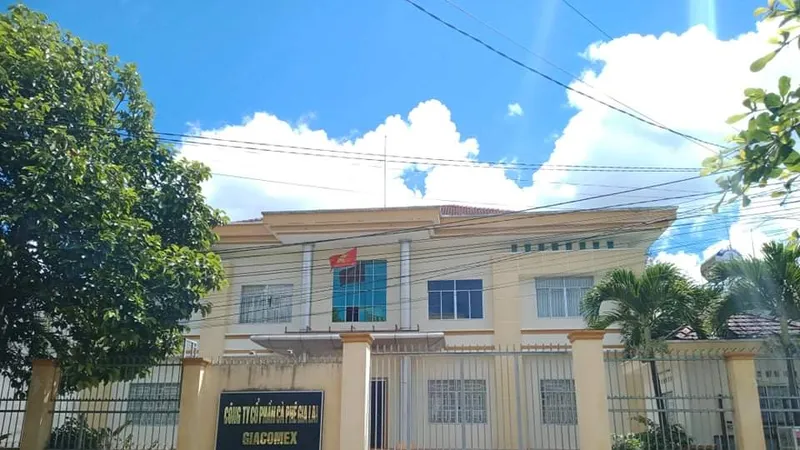 Gia Lai: Chuyển hồ sơ sang công an để điều tra sai phạm của công ty cà phê