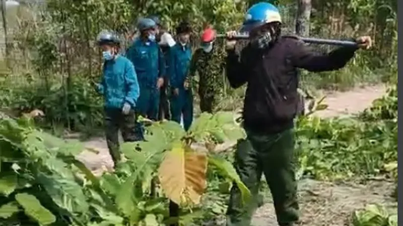Nhân viên bảo vệ rừng bị dọa “giết cả nhà“