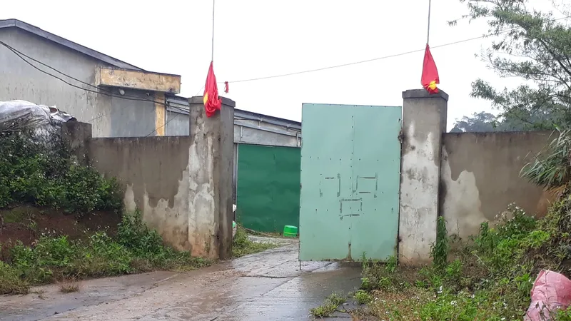 Nơi triển khai dự án của Công ty cổ phần Rượu sâm Ngọc Linh Kon Tum tại xã Ngọc Lây. Ảnh: QUỐC DŨNG