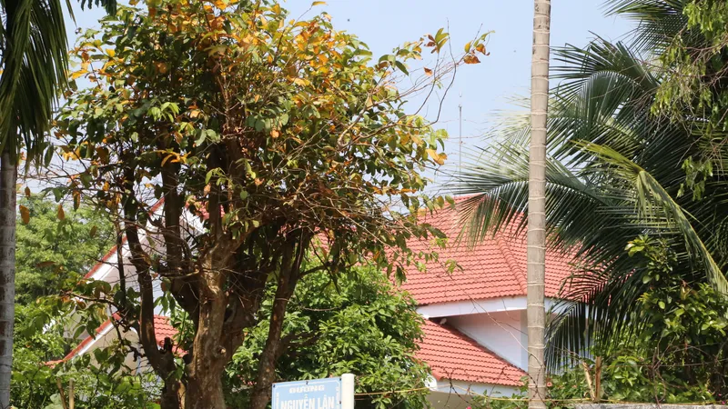 Kon Tum: Yêu cầu làm rõ hành vi làm đường sai quy hoạch để vợ nguyên Bí thư Thành uỷ có nhà 4 mặt tiền 