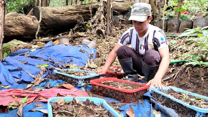 Thêm 50 hộ dân có sâm chết được khoanh nợ 2,7 tỷ đồng