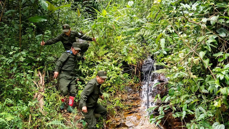 Công ty Lâm nghiệp Kon Rẫy bảo vệ rừng tự nhiên, tập trung trồng rừng
