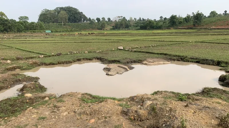 Hiện trường vụ việc. Ảnh HS