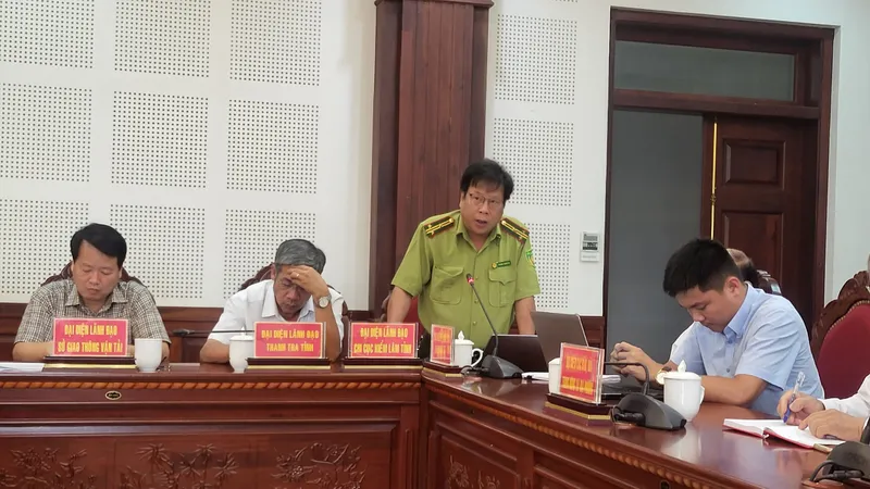 Kỷ luật nhiều cán bộ để mất rừng ở Kbang, Kông Chro