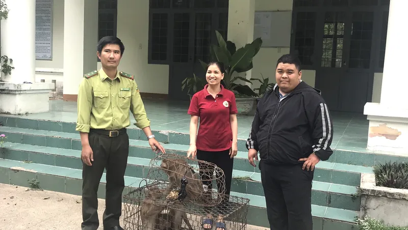 Bàn giao 5 cá thể khỉ đuôi lợn cho trung tâm bảo tồn chăm sóc