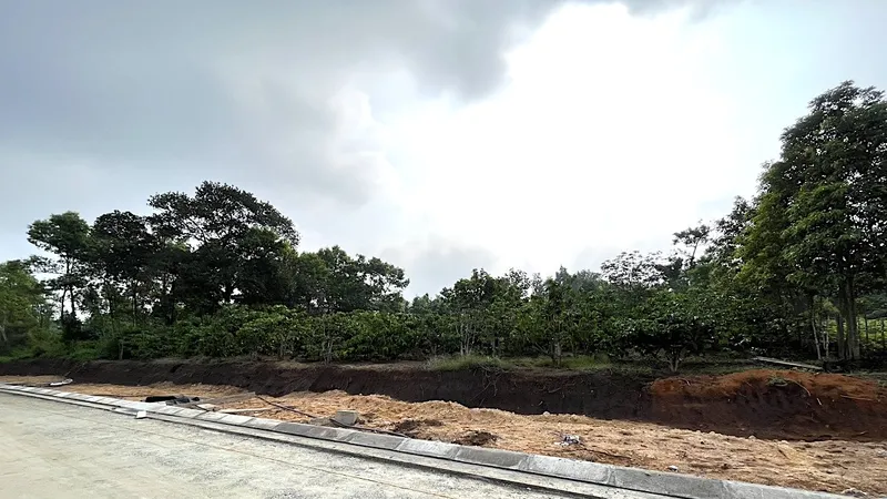Tự nguyện hiến đất làm đường, 2 hộ dân được Chủ tịch UBND tỉnh khen thưởng 