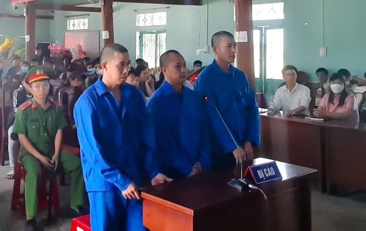 Băng nhóm khai thác trái phép 84 cây gỗ lĩnh án