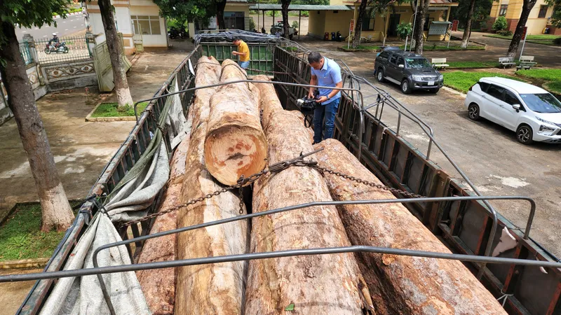 Khởi tố 2 đối tượng vận chuyển gỗ ở biên giới Ia O
