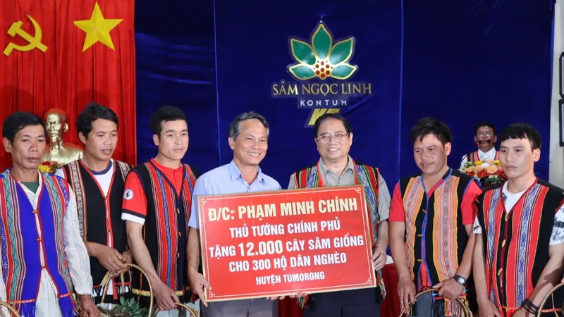 Thủ tướng Phạm Minh Chính: Kon Tum cần tiếp tục xây dựng thương hiệu sâm Ngọc Linh 