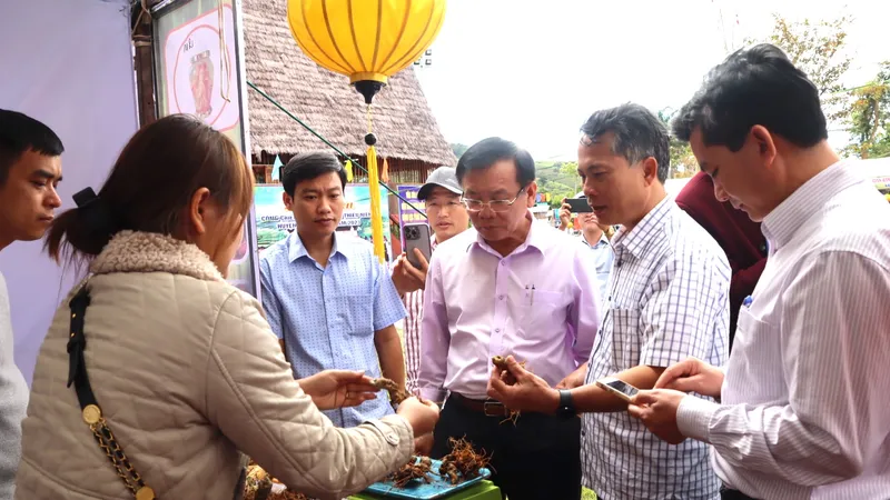 “Hội thi ẩm thực dược liệu - tinh hoa núi rừng Ngọc Linh”: Tôn vinh giá trị cây sâm dây 