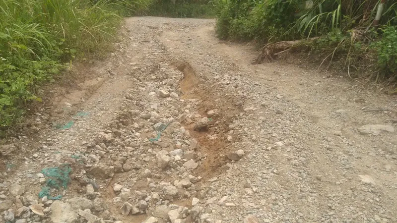Yêu cầu chủ đầu tư Nhà máy Thủy điện Đăk Đrinh phải hoàn thành sửa chữa đường tránh ngập lòng hồ vào cuối năm 2024