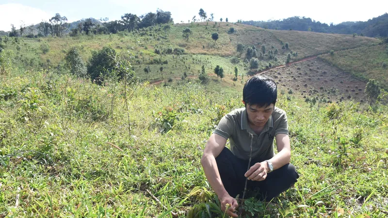 Kon Tum: Đề nghị làm rõ trách nhiệm tổ chức, cá nhân để suy giảm 11,6ha rừng