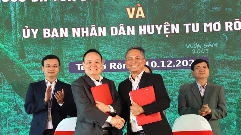 Tìm giải pháp nâng cao giá trị sâm Ngọc Linh