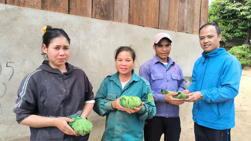 Cấp miễn phí hơn 3.300 cây sâm giống Ngọc Linh cho hộ nghèo, cận nghèo phát triển kinh tế