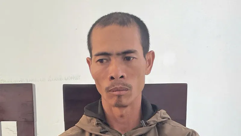 Vụ vườn cà phê, hồ tiêu bị chặt phá ở Gia Lai: Khởi tố anh rể