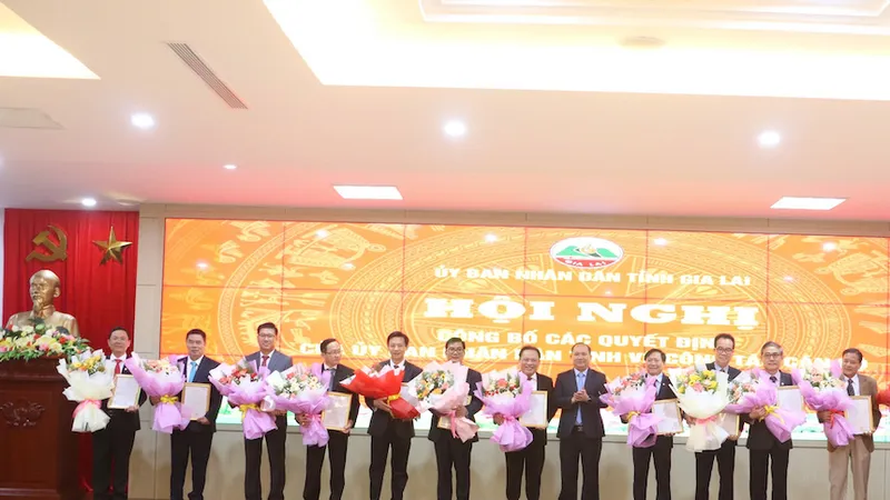Gia Lai: Ông Vũ Tiến Anh tiếp tục được bổ nhiệm giữ chức Chánh Văn phòng UBND tỉnh