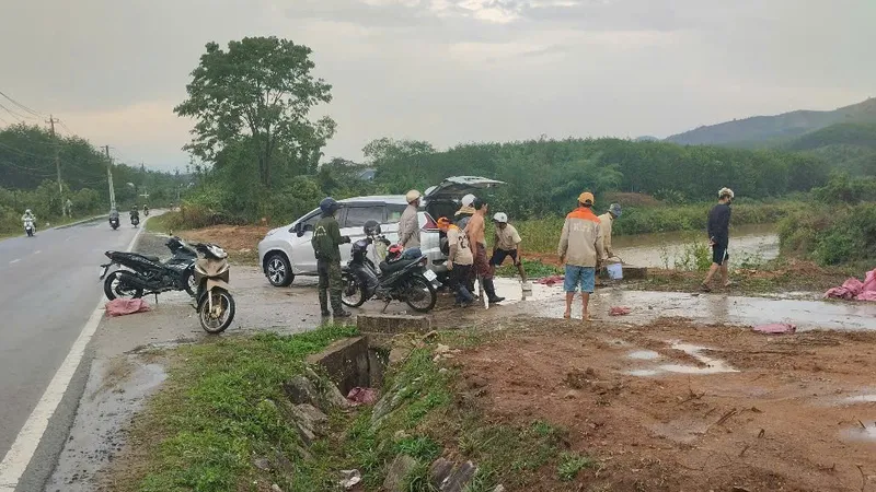  7 người trong thôn bị sét đánh khi đi nhổ mì 