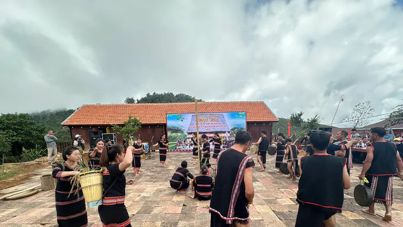 Phiên chợ sâm Ngọc Linh ở Tê Xăng: Gắn kết bảo tồn văn hóa với phát triển dược liệu