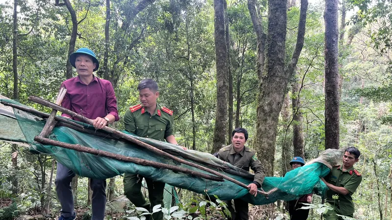 Giúp dân khôi phục vườn sâm bị bão tàn phá 