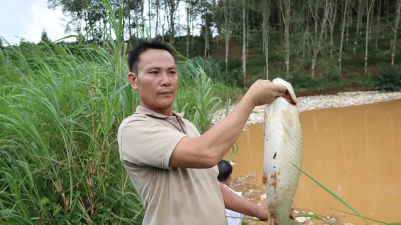 Quảng Ngãi kiến nghị kiểm định chất lượng công trình sau sự cố hư hỏng đường ống thu gom nước thải