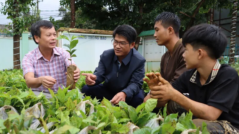 Hiệu quả giảm nghèo ở Tu Mơ Rông