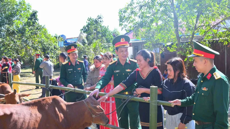 Quảng Ngãi: Trao tặng 49 con bò giống cho người dân vùng biên giới