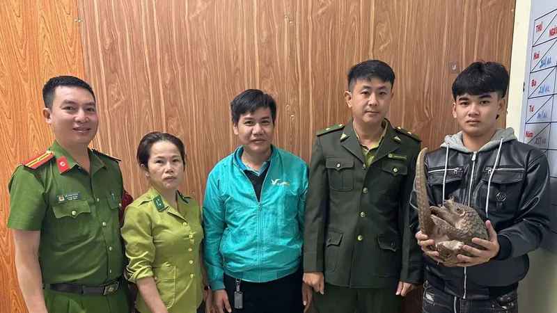 Quảng Ngãi: Thả cá thể tê tê về rừng