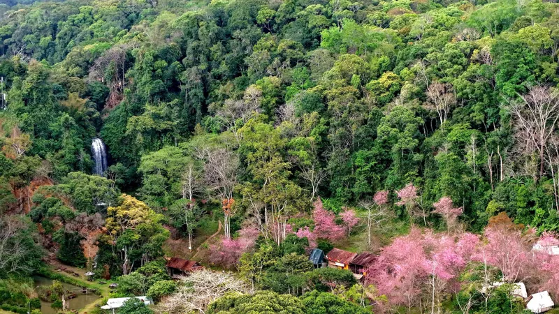 Măng Đen - Cao nguyên yên bình giữa đại ngàn