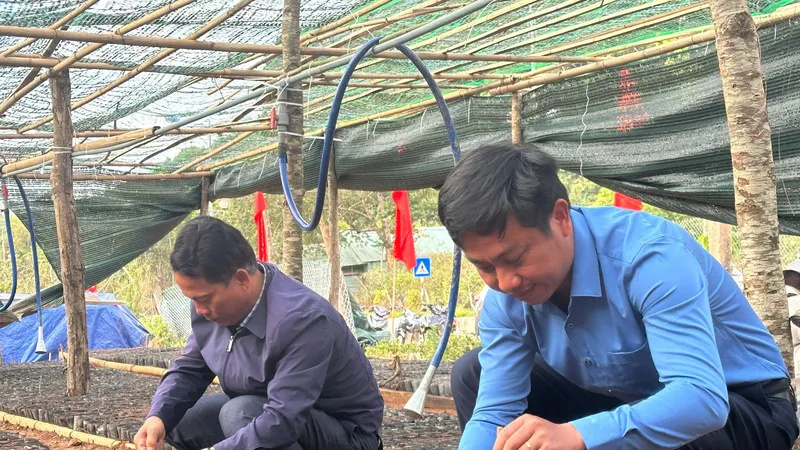 Quảng Ngãi: Đóng 300.000 bầu cà phê giống cấp cho đồng bào Xơ Đăng