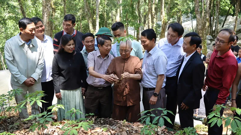 Trao tặng cây sâm Ngọc Linh giúp thanh niên Xơ Đăng khởi nghiệp 