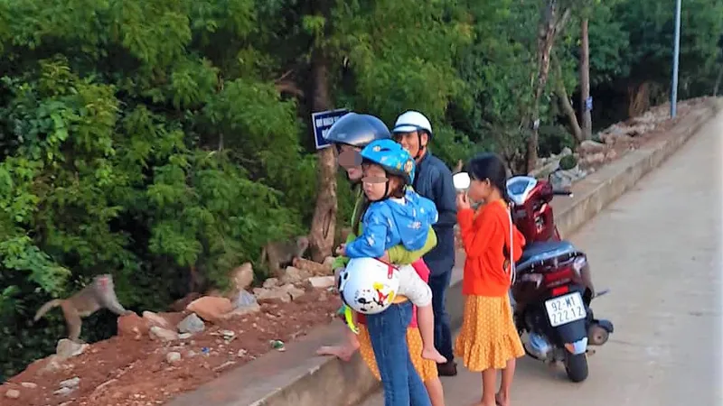 Một nam thanh niên bắt trộm khỉ con tại chùa Linh Ứng