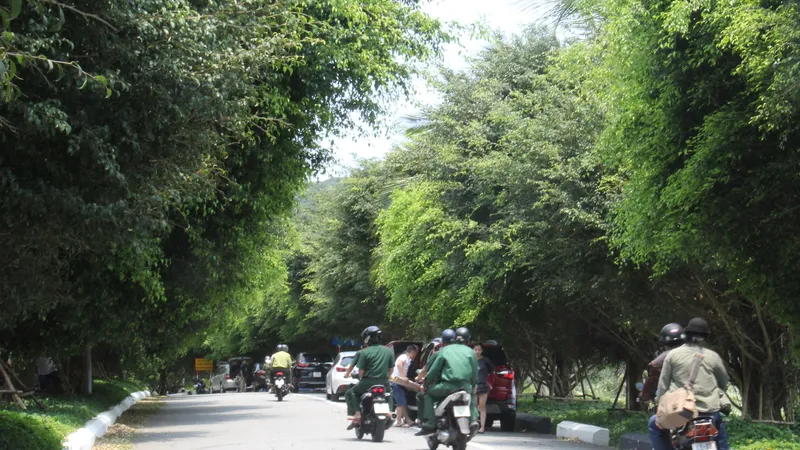 Du khách lên nghỉ mát theo từng nhóm dọc tuyến đường lên bán đảo Sơn Trà