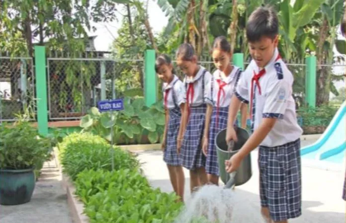Giai đoạn 2008-2020 xây dựng mô hình trường học xanh