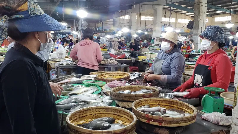 Dự kiến, mỗi ngày yêu cầu chỉ 30% số lượng tiểu thương buôn bán cá đến Cảng cá Thọ Quang lấy hàng
