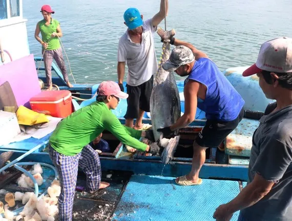 Toàn cảnh hội nghị. Ảnh: XUÂN QUỲNH