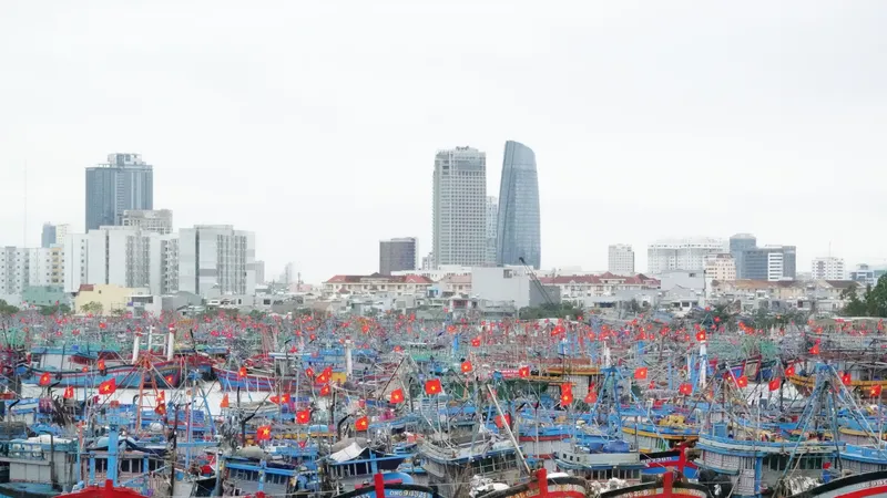 Khu neo đậu tàu thuyền tại âu thuyền Thọ Quang (quận Sơn Trà, TP Đà Nẵng). Ảnh: XUÂN QUỲNH
