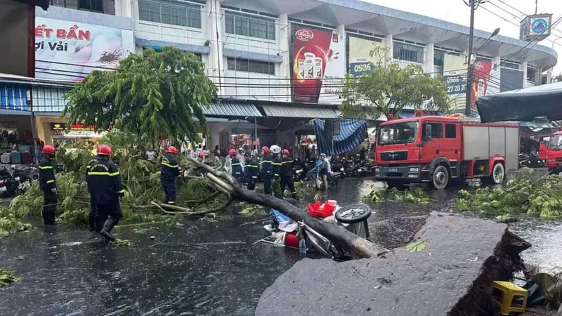 Cây xanh bật gốc chắn ngang đường Ông Ích Khiêm. Ảnh: Công an Thanh Khê