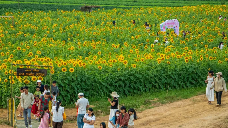 Đông đảo người dân, du khách đến tham quan, chụp ảnh