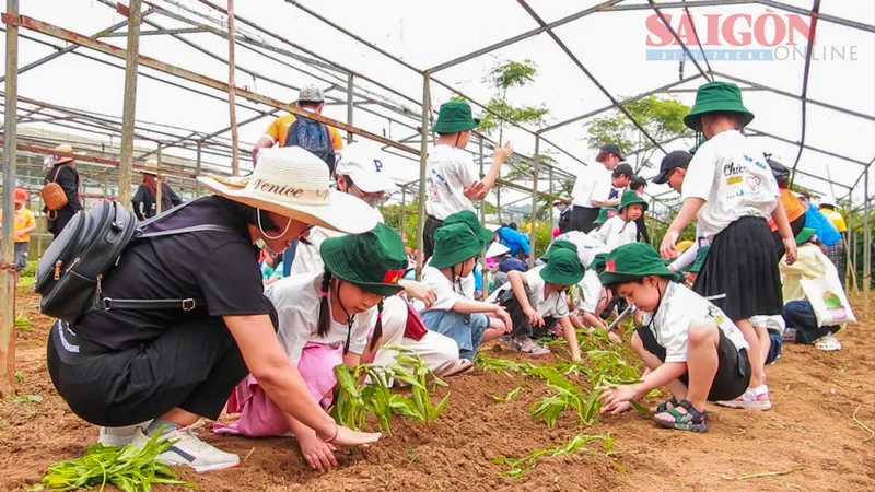 Đánh thức giá trị từ những cánh đồng quê