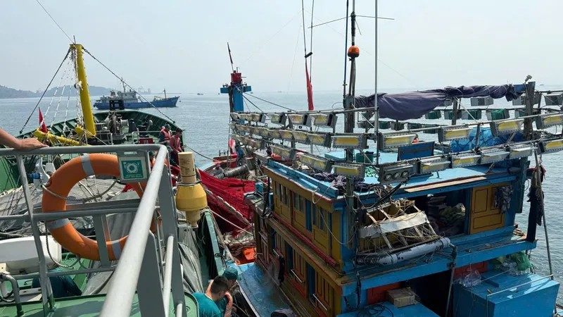 Hải đội Dân quân thường trực cứu hộ tàu cá QNg 48988 TS trên vùng biển Sơn Trà