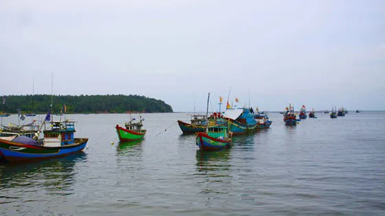 Chống khai thác hải sản bất hợp pháp