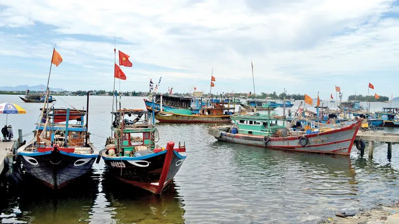 Luật thủy sản mới gây khó cho ngư dân miền Trung