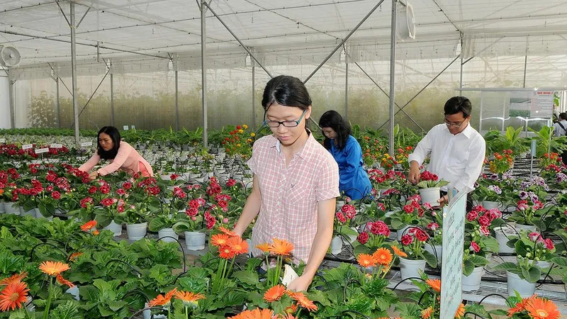 Cây giống hoa trồng tại Trung tâm Công nghệ sinh học TPHCM. Ảnh: CAO THĂNG