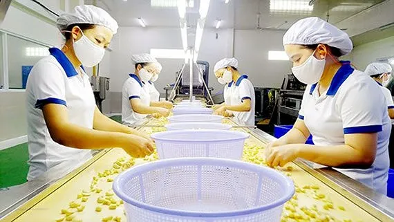 Đề nghị thanh toán mua điều thô theo hình thức 95/5 